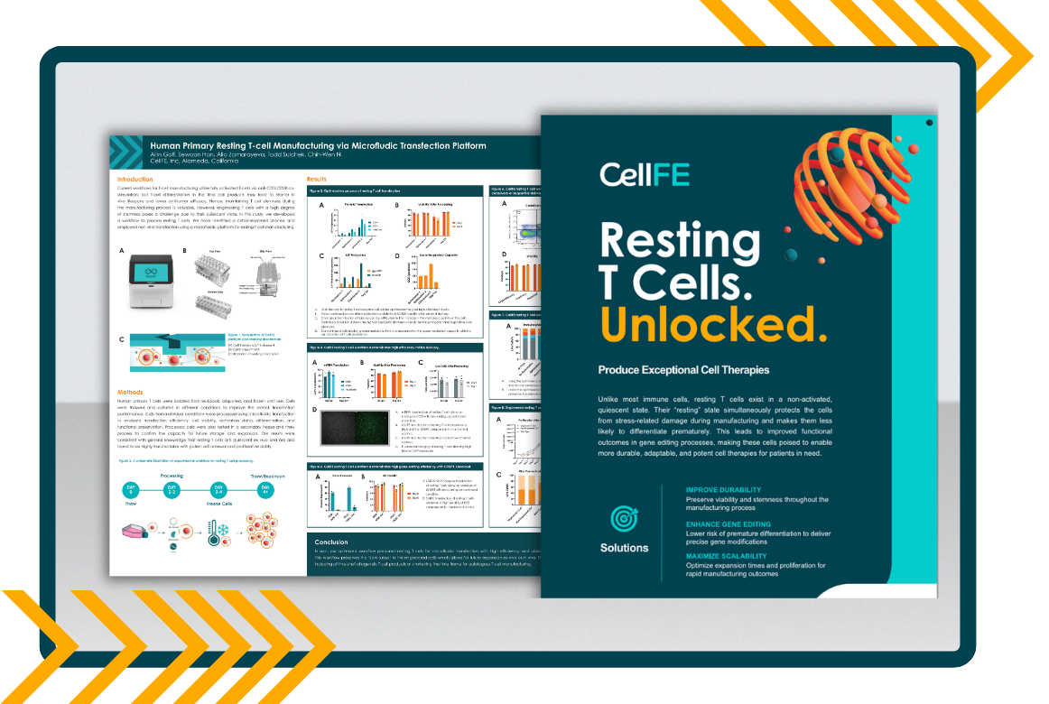 Resting T cell image decal